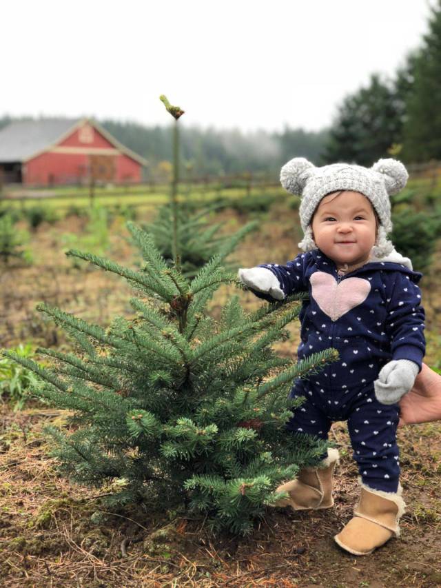 daily picdump weekend edition 64 pics 24.html - 64 HD Photos | Premium Gallery 2017