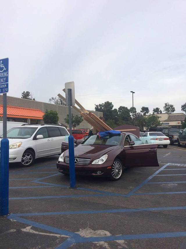 daily picdump weekend edition 64 pics 24.html - 64 HD Photos | Premium Gallery 2017