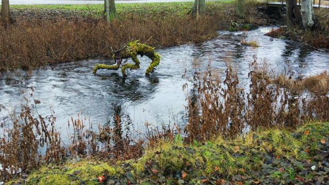 daily picdump 104 pics 3.html - 104 HD Photos | Premium Gallery 2017