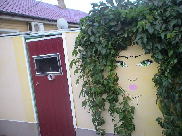 daily picdump 104 pics 3.html - 104 HD Photos | Premium Gallery 2017