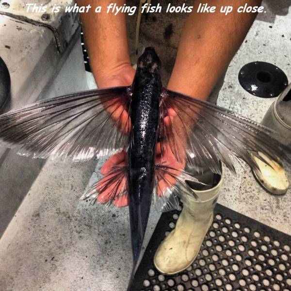 daily picdump 104 pics 3.html - 104 HD Photos | Premium Gallery 2017