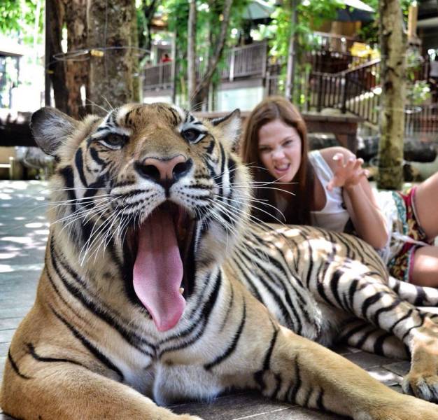 daily picdump 104 pics 3.html - 104 HD Photos | Premium Gallery 2017