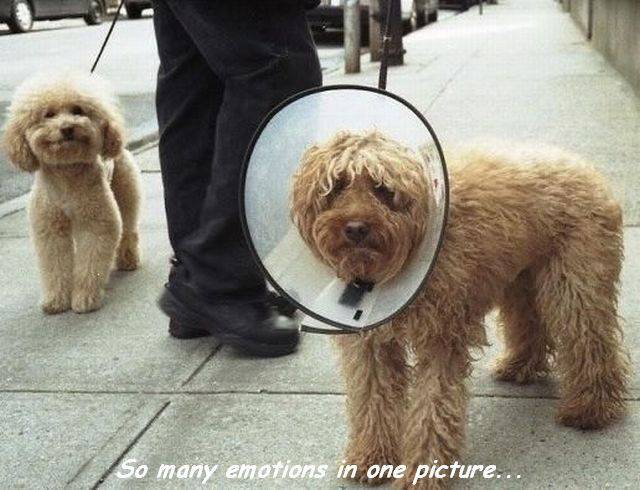 daily picdump 104 pics 3.html - 104 HD Photos | Premium Gallery 2017