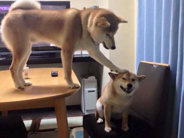 daily picdump 104 pics 3.html - 104 HD Photos | Premium Gallery 2017