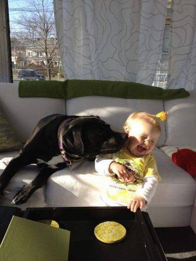 daily picdump 104 pics 3.html - 104 HD Photos | Premium Gallery 2017