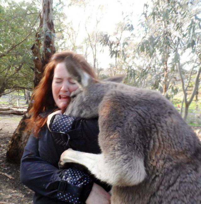 daily picdump 104 pics 3.html - 104 HD Photos | Premium Gallery 2017