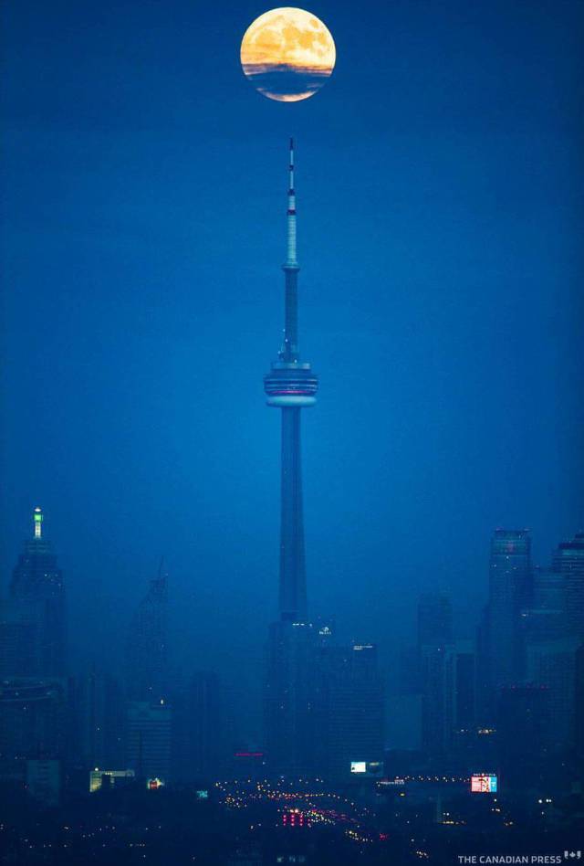 daily picdump 104 pics 3.html - 104 HD Photos | Premium Gallery 2017