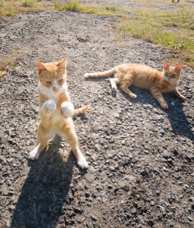 daily picdump 104 pics 3.html - 104 HD Photos | Premium Gallery 2017