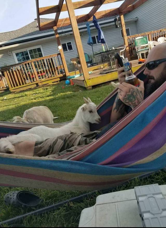 daily picdump 104 pics 3.html - 104 HD Photos | Premium Gallery 2017