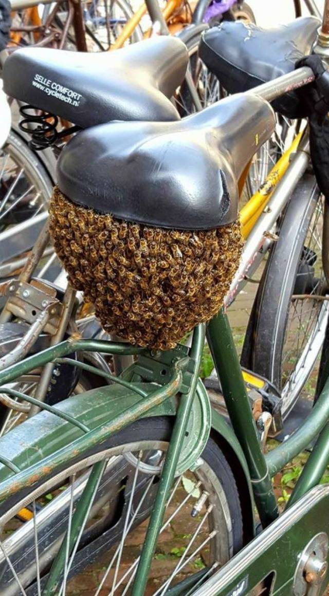 daily picdump 104 pics 3.html - 104 HD Photos | Premium Gallery 2017