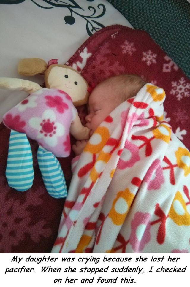 daily picdump 104 pics 3.html - 104 HD Photos | Premium Gallery 2017