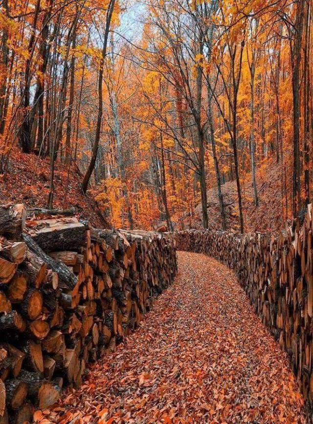 daily picdump 104 pics 3.html - 104 HD Photos | Premium Gallery 2017