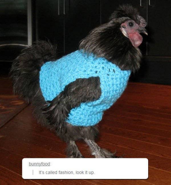 You Don’t Understand – It’s Modern Fashion!