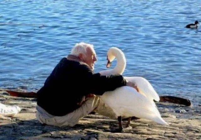 daily picdump 93 pics 38.html - 93 HD Photos | Premium Gallery 2017