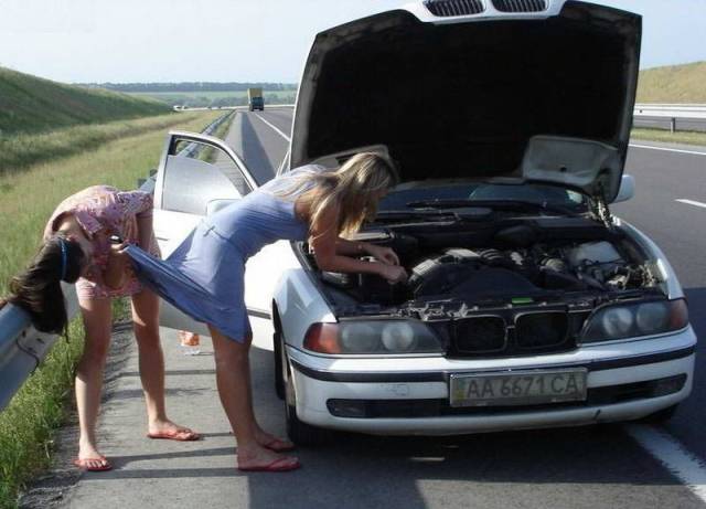 daily picdump 93 pics 38.html - 93 HD Photos | Premium Gallery 2017