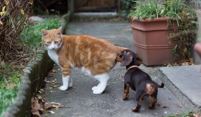 daily picdump 93 pics 38.html - 93 HD Photos | Premium Gallery 2017