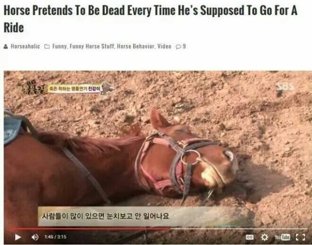 daily picdump 93 pics 38.html - 93 HD Photos | Premium Gallery 2017