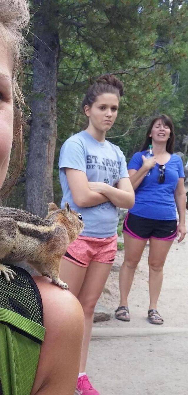 Jealousy Is Too Obvious Here