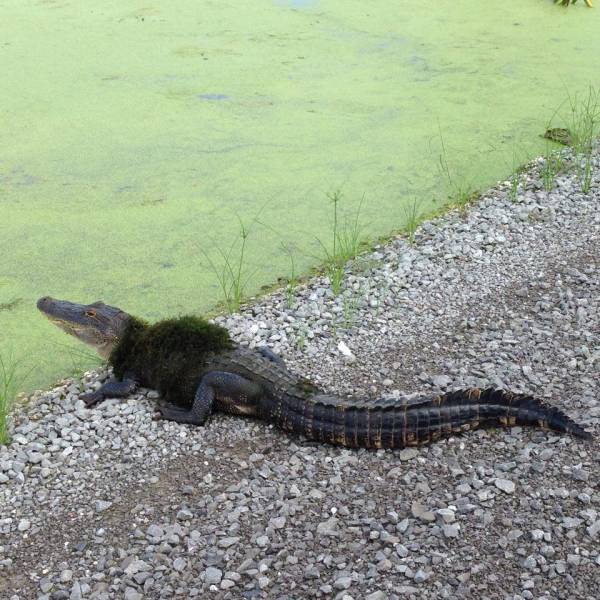 morning picdump 52 pics 9.html - 52 HD Photos | Premium Gallery 2017