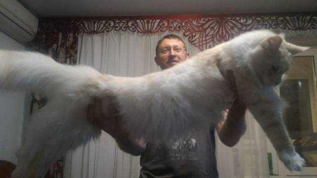 daily picdump 97 pics 5.html - 97 HD Photos | Premium Gallery 2017