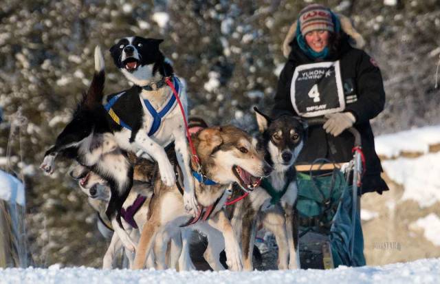 daily picdump 97 pics 5.html - 97 HD Photos | Premium Gallery 2017