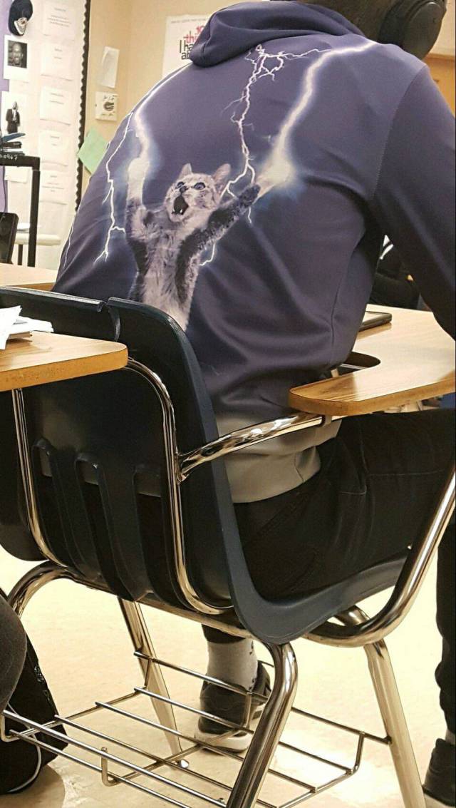 daily picdump 97 pics 5.html - 97 HD Photos | Premium Gallery 2017