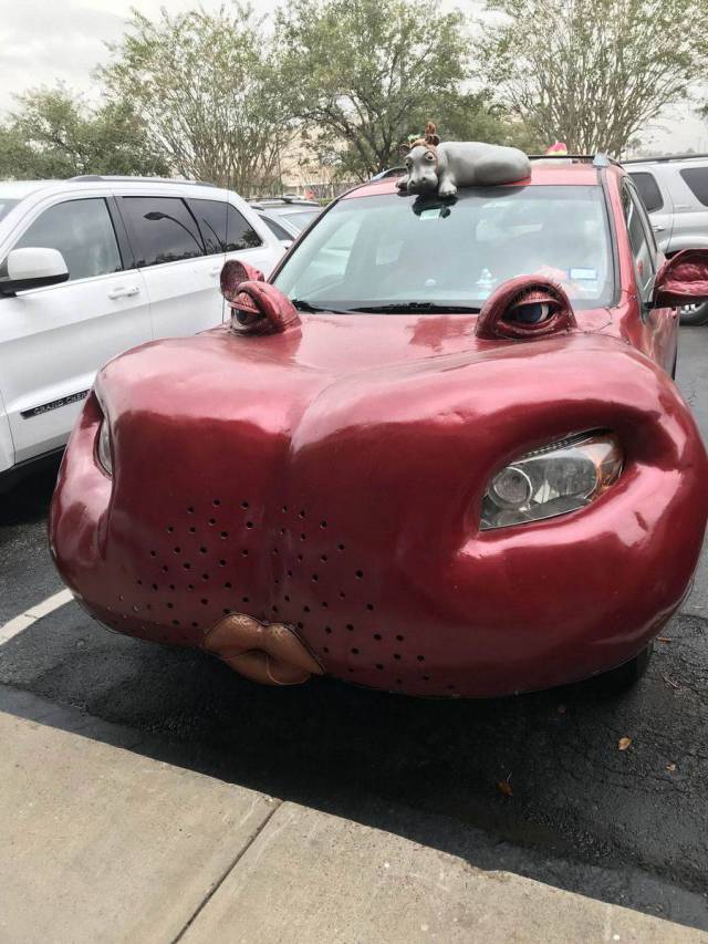 daily picdump 97 pics 5.html - 97 HD Photos | Premium Gallery 2017