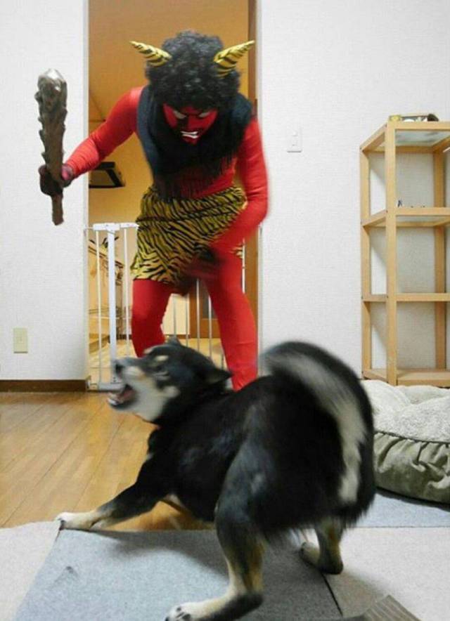 daily picdump 97 pics 5.html - 97 HD Photos | Premium Gallery 2017