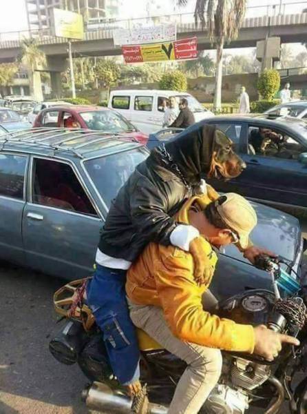 morning picdump 51 pics 4.html - 51 HD Photos | Premium Gallery 2017