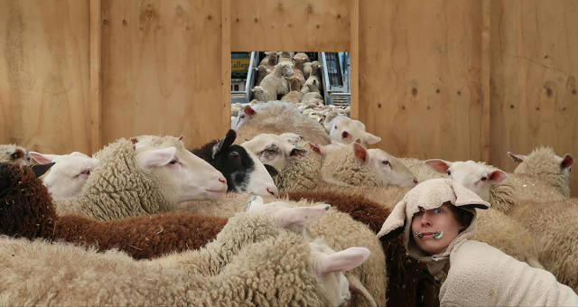 morning picdump 51 pics 4.html - 51 HD Photos | Premium Gallery 2017