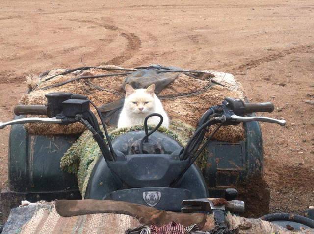 morning picdump 51 pics 4.html - 51 HD Photos | Premium Gallery 2017