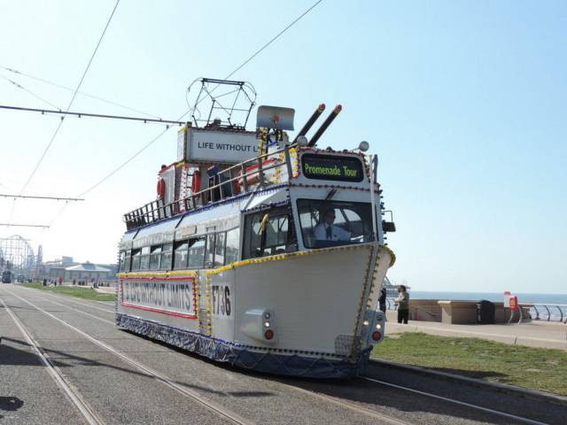 daily picdump 92 pics 2.html - 92 HD Photos | Premium Gallery 2017