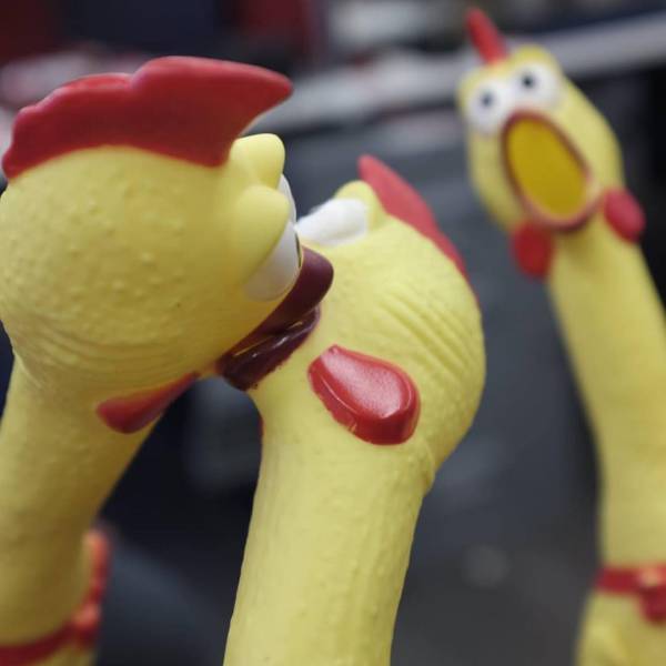 daily picdump 92 pics 2.html - 92 HD Photos | Premium Gallery 2017