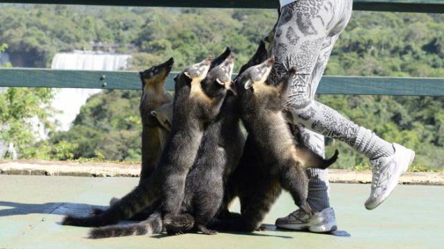 daily picdump 92 pics 2.html - 92 HD Photos | Premium Gallery 2017