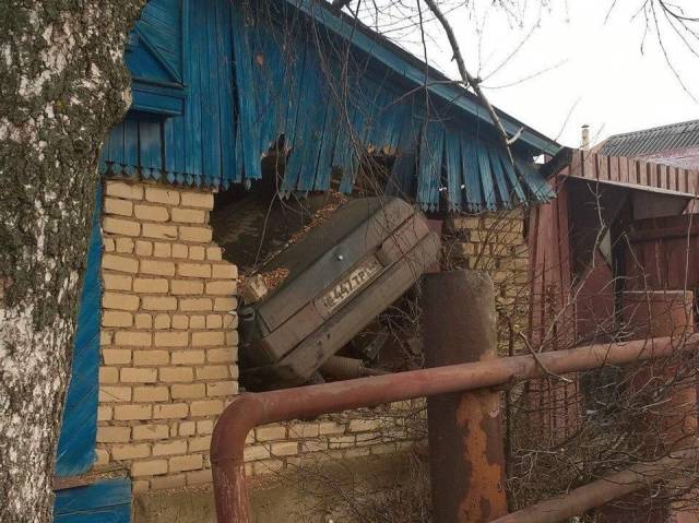 daily picdump 92 pics 2.html - 92 HD Photos | Premium Gallery 2017