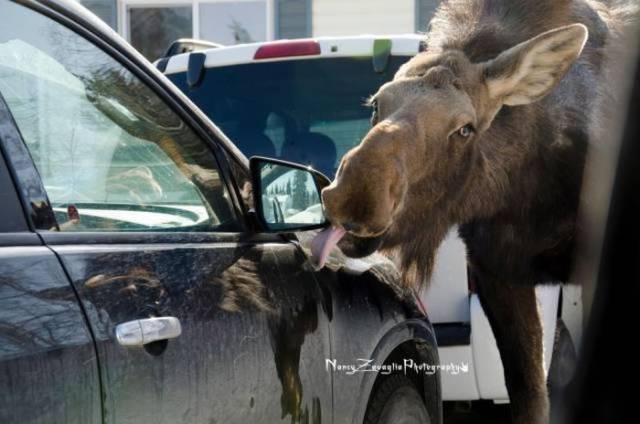 daily picdump 92 pics 2.html - 92 HD Photos | Premium Gallery 2017