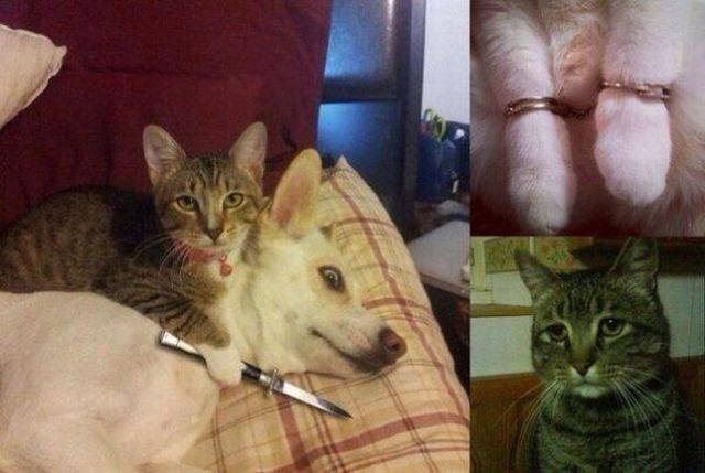 daily picdump 92 pics 2.html - 92 HD Photos | Premium Gallery 2017