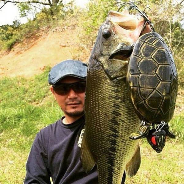 daily picdump 92 pics 2.html - 92 HD Photos | Premium Gallery 2017