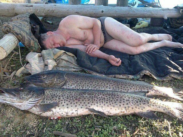 daily picdump 92 pics 2.html - 92 HD Photos | Premium Gallery 2017