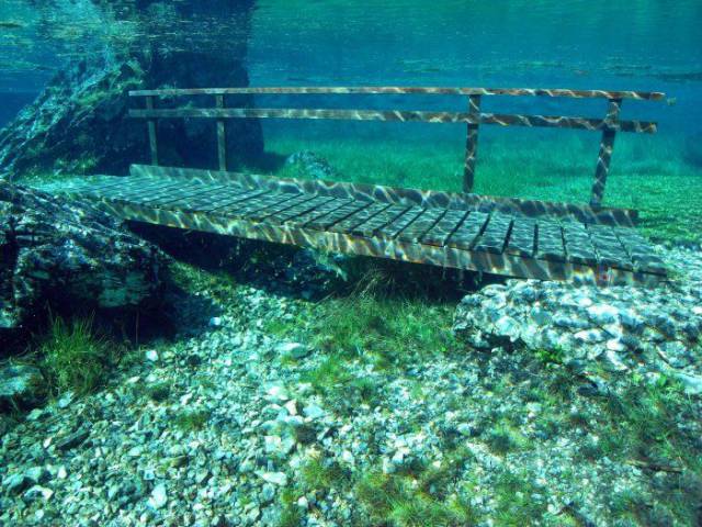 daily picdump 92 pics 2.html - 92 HD Photos | Premium Gallery 2017