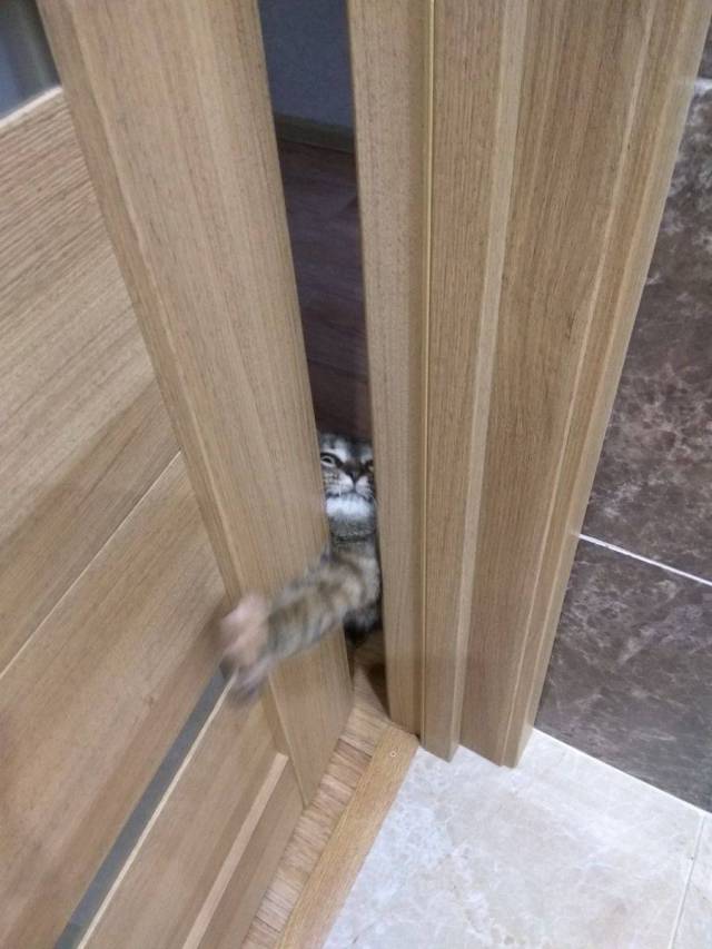 daily picdump 92 pics 2.html - 92 HD Photos | Premium Gallery 2017