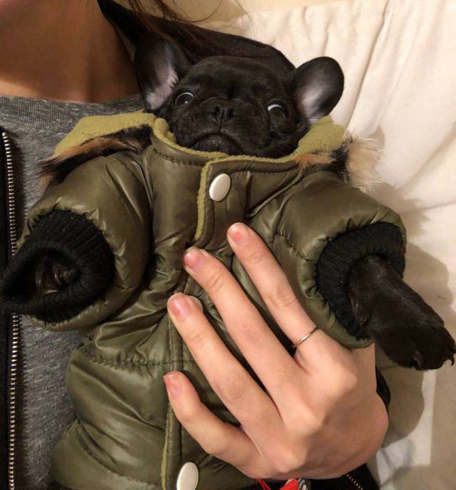 daily picdump 92 pics 2.html - 92 HD Photos | Premium Gallery 2017