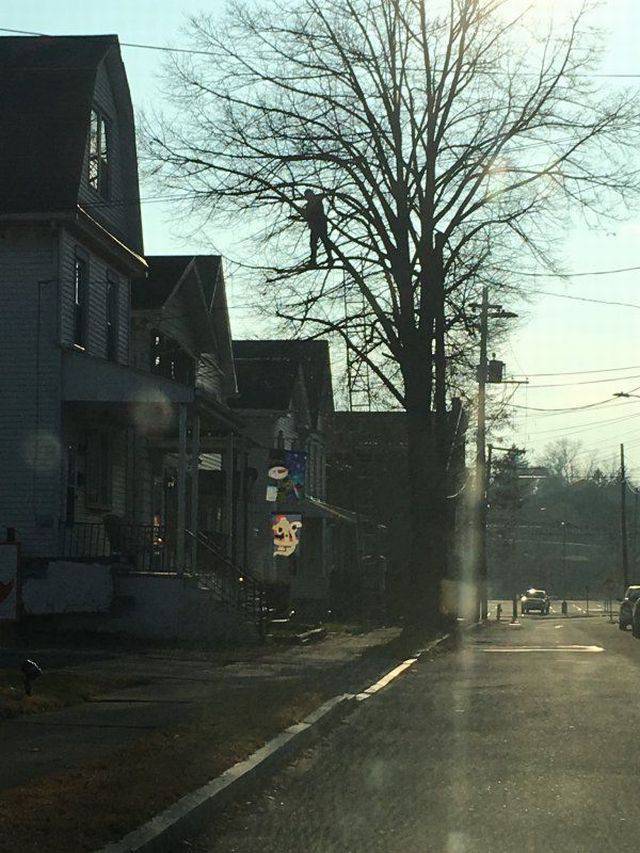 daily picdump 92 pics 2.html - 92 HD Photos | Premium Gallery 2017