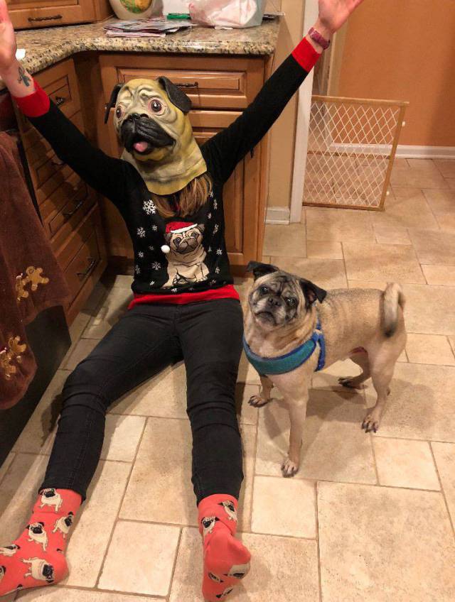 daily picdump 92 pics 2.html - 92 HD Photos | Premium Gallery 2017