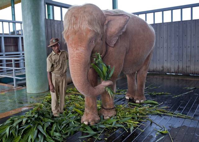 morning picdump 51 pics 11.html - 51 HD Photos | Premium Gallery 2017