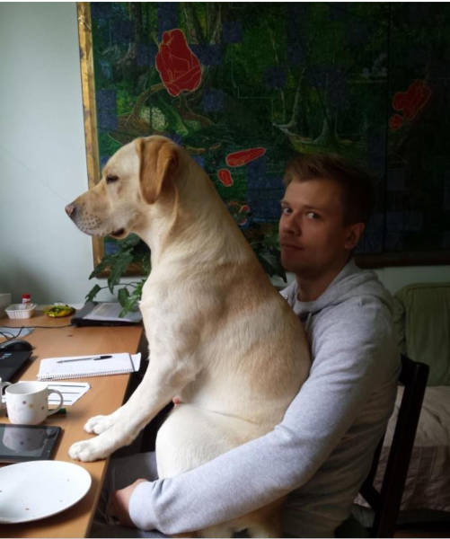 morning picdump 51 pics 11.html - 51 HD Photos | Premium Gallery 2017