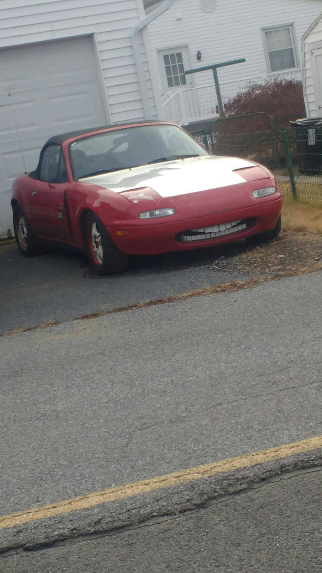 morning picdump 51 pics 11.html - 51 HD Photos | Premium Gallery 2017