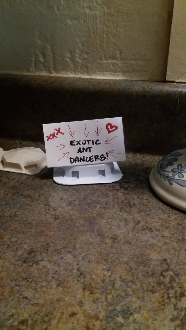 morning picdump 51 pics 11.html - 51 HD Photos | Premium Gallery 2017