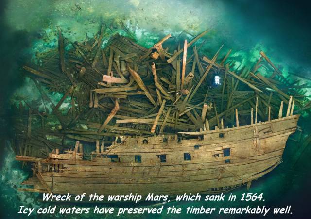 daily picdump 88 pics 12.html - 88 HD Photos | Premium Gallery 2017