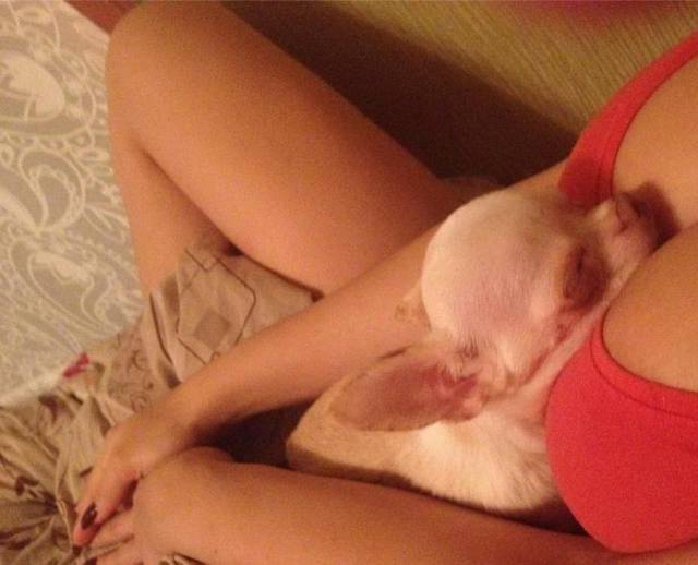 daily picdump 88 pics 12.html - 88 HD Photos | Premium Gallery 2017